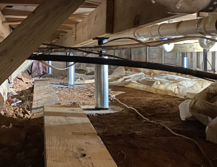 Untitled design - 2026-03-09T104018.960