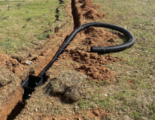 Untitled design - 2026-03-09T104332.749