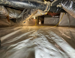 Untitled design (28)