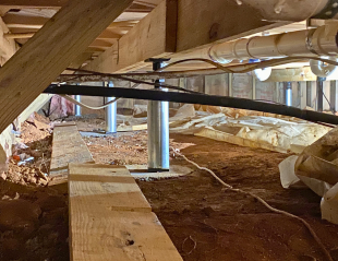 Untitled design (35)