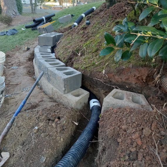 Untitled design (44)