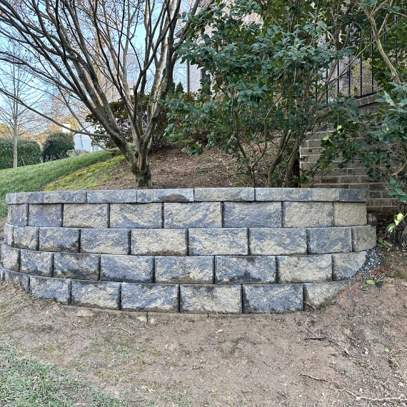 Untitled design (45)