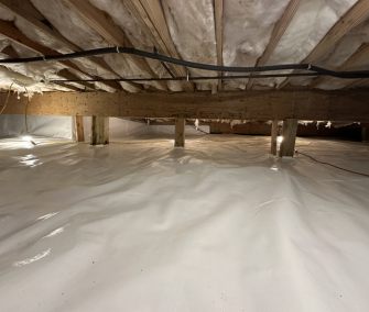 Untitled design (76)