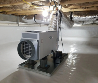 Untitled design (79)